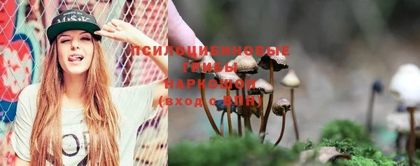 молекула духа Рославль
