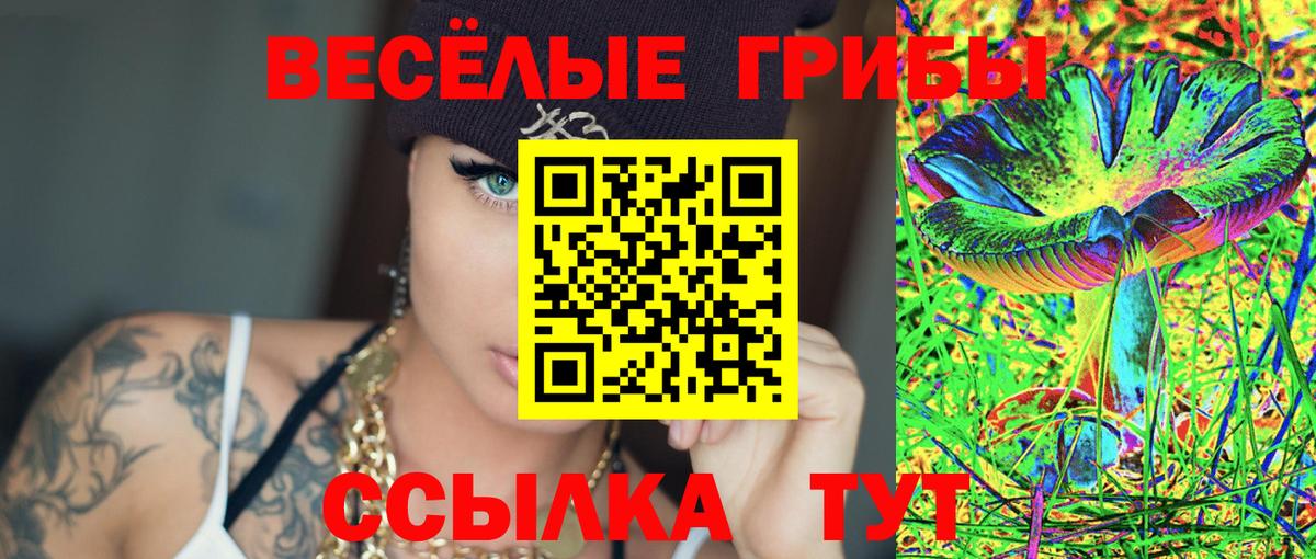 Галлюциногенные грибы Psilocybe Красный Сулин